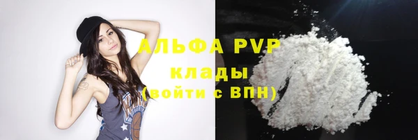 гидра Абаза