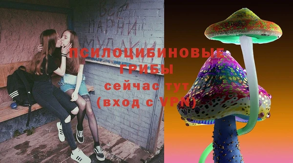соль ск Алексеевка