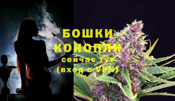 ГАЛЛЮЦИНОГЕННЫЕ ГРИБЫ Абдулино