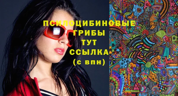 ГАЛЛЮЦИНОГЕННЫЕ ГРИБЫ Абдулино