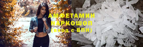 гидра Абаза